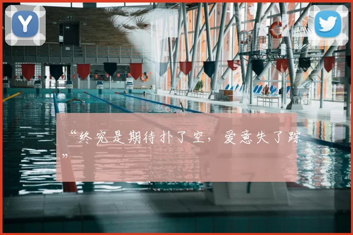 “终究是期待扑了空，爱意失了踪”